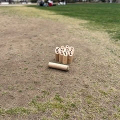 一緒に公園でモルックというスポーツしませんか⁉️😆