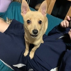 家族探してます！