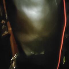 ワールドイーグル　キャディバッグの画像