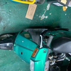 ミント ヤマハ の画像