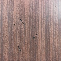 コーヒーテーブルの画像