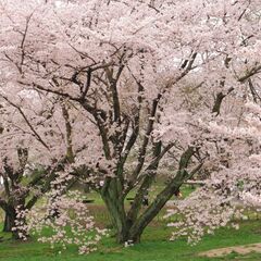 カラオケin香川