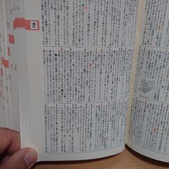 国語辞典の画像