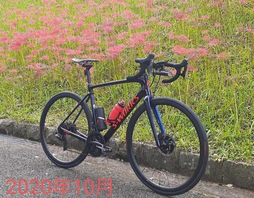 自転車本体 S-WORKS Roubaix (2019) 56 Specialized S-Works Roubaix LTD - Sram Red AXS - WD Bicycles