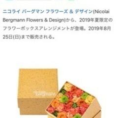 【予定者決定】ニコライバーグマン　インテリア　フラワー　の画像