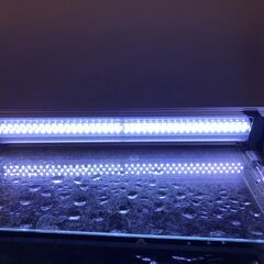 ゼンスイ LED 45cm ホワイト色