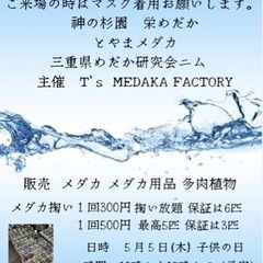 四日市商店街　一番街にてメダカイベント販売します🤗