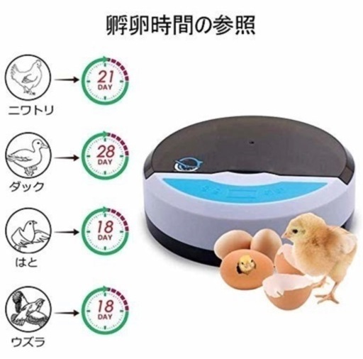 自動孵卵器 インキュベーター 検卵ライト内蔵鳥類専用ふ卵器 孵化器 9個入卵