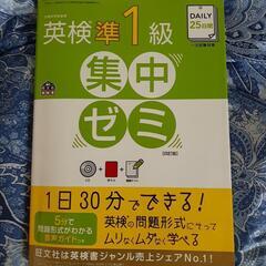 オンラインでも対面でも英検準1級～5級まで、TOEICもみます295→630点、2級大学受験用英検、オンラインで全国からOK。TOEIC対策、対面でも。小学生から大人まで　英会話、英検５級から準１級、TOEIC初級者まで教えますの画像