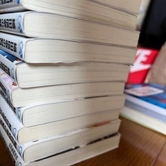 織田信奈の野望　ライトノベルの画像