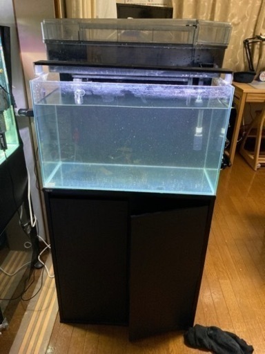 水槽60センチセット　総額40000円以上