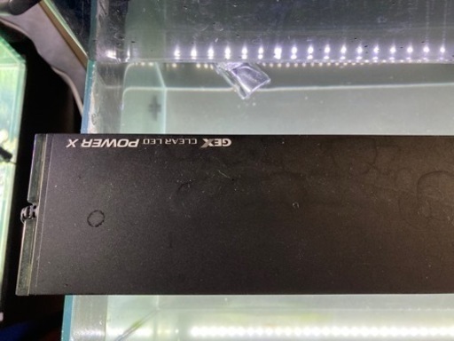 水槽60センチセット　総額40000円以上