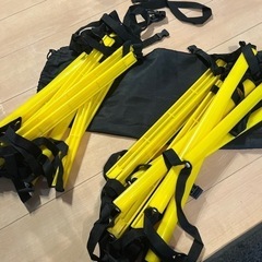 トレーニングラダー