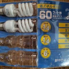 省エネ　クイックボール　60ワット型