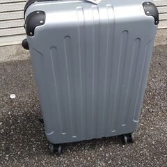 値下げしました🌼新品大きめのキャリーバック激安🉐
