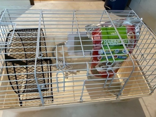 ハリネズミ飼育セット。