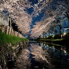 趣味友達(カメラ)     - 渋谷区