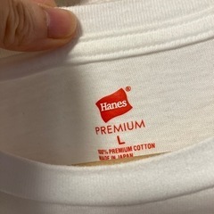 メンズ　ヘインズ　白Tの画像
