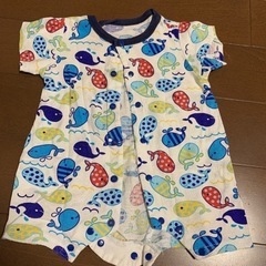 ロンパース 半袖 クジラ タキヒヨー
