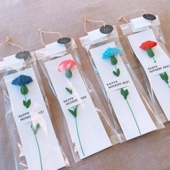 【母の日】カーネーション
