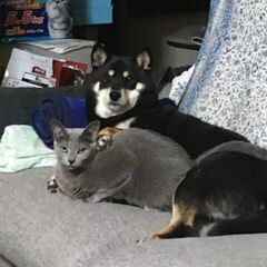 ★たしかな技術、、、ここにあります★の画像