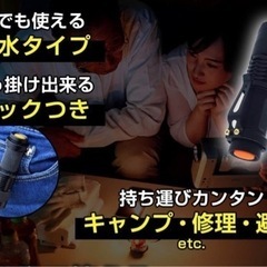 ミニ懐中電灯2本の画像