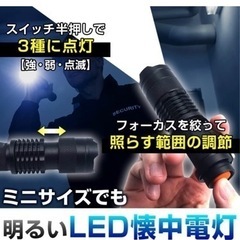 ミニ懐中電灯2本の画像