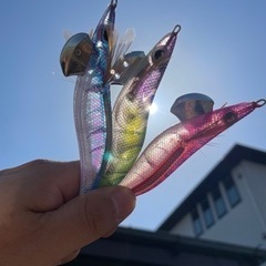 『親イカ』エギング大好きさん募集　七尾　能登島　穴水町