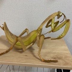 カマキリ　BIGフィギュア