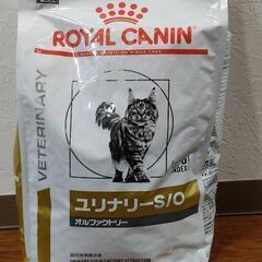 ロイヤルカナン ユリナリーS/O オルファクトリー 4kg ペッ...
