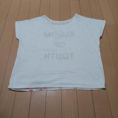 TシャツレディースMサイズの画像