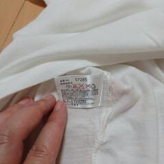 TシャツレディースMサイズの画像