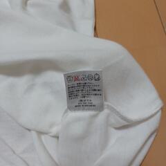 レディースTシャツLの画像