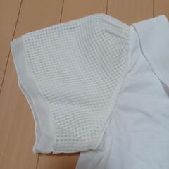 レディースTシャツLの画像