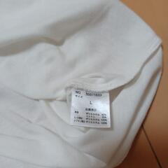 レディースTシャツLの画像