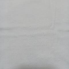 レディースTシャツLの画像
