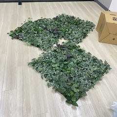 植物の壁に貼る飾り　3枚
