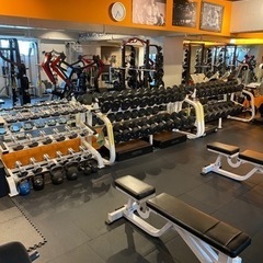 muscle&beauty gym fizik 会員大募集！