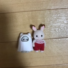【相手決まりました】シルバニア