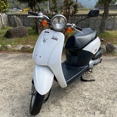 【決まりました‼︎】ホンダ　トゥデイの画像
