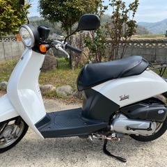 【決まりました‼︎】ホンダ　トゥデイ