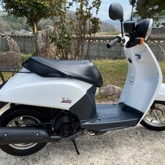 【決まりました‼︎】ホンダ　トゥデイの画像