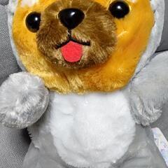 ぬいぐるみ✨の画像