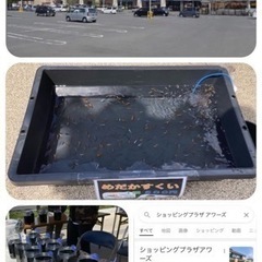 【高越めだか】☆イベント情報☆ 阿波市 ショッピングプラザアワーズ 今年2回目 - その他