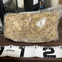 水苔