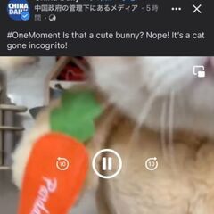 ディズニーランドに行きたい人