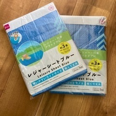 とてもキレイです！ ダイソー ブルーシート 2枚セット