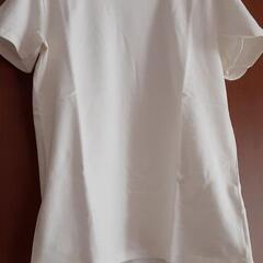 値下げ Theory Tシャツ ユニセックス ①