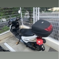 シグナスx 2型？の画像