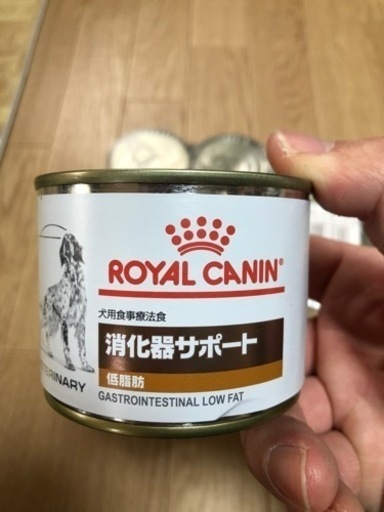  CANIN ロイヤルカナン　ドッグフード　犬用消化器サポート(低脂肪) 200g缶11個セット